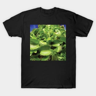 Venus Fly Trap T-Shirt